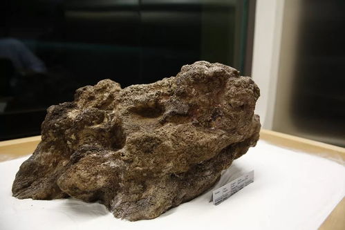 撿石者的意外驚喜 木雕刻品，價(jià)值連城的自然饋贈(zèng)